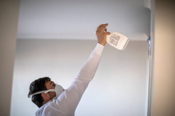 Best Office Mold Removal Services  in Trappe, PA