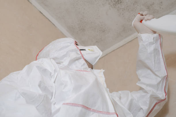 Best Professional Mold Removal  in Trappe, PA